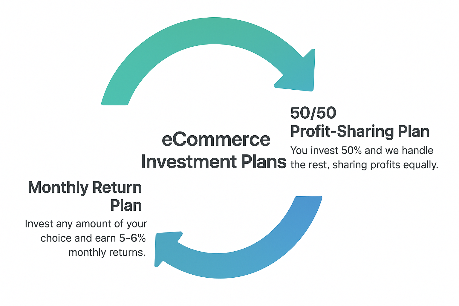 E-commerce Investment Plans